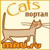 CATS-:  
  -  , , ,   .
